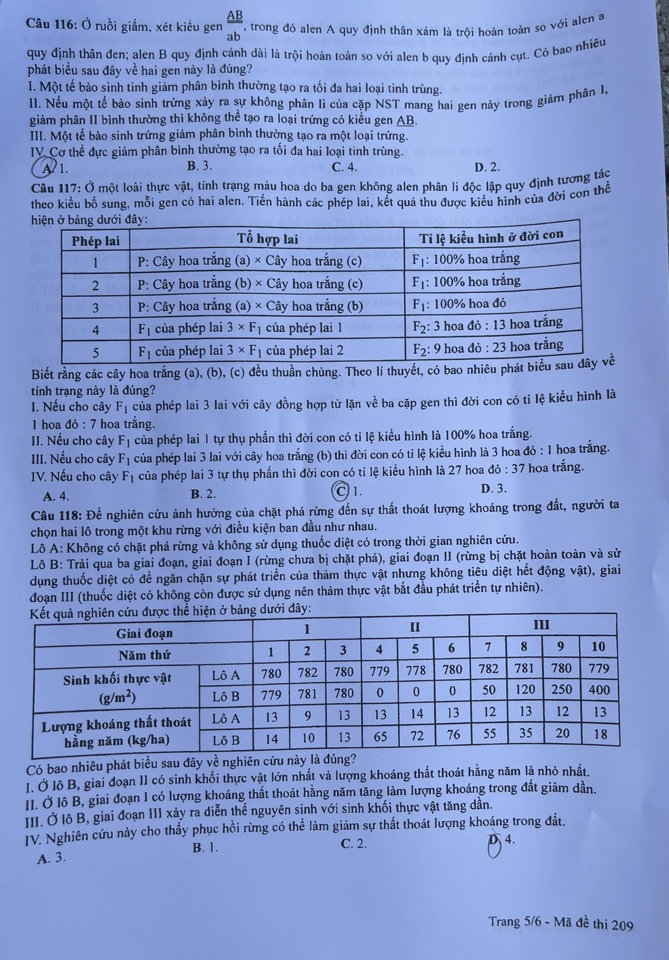 dap an Sinh hoc anh 6