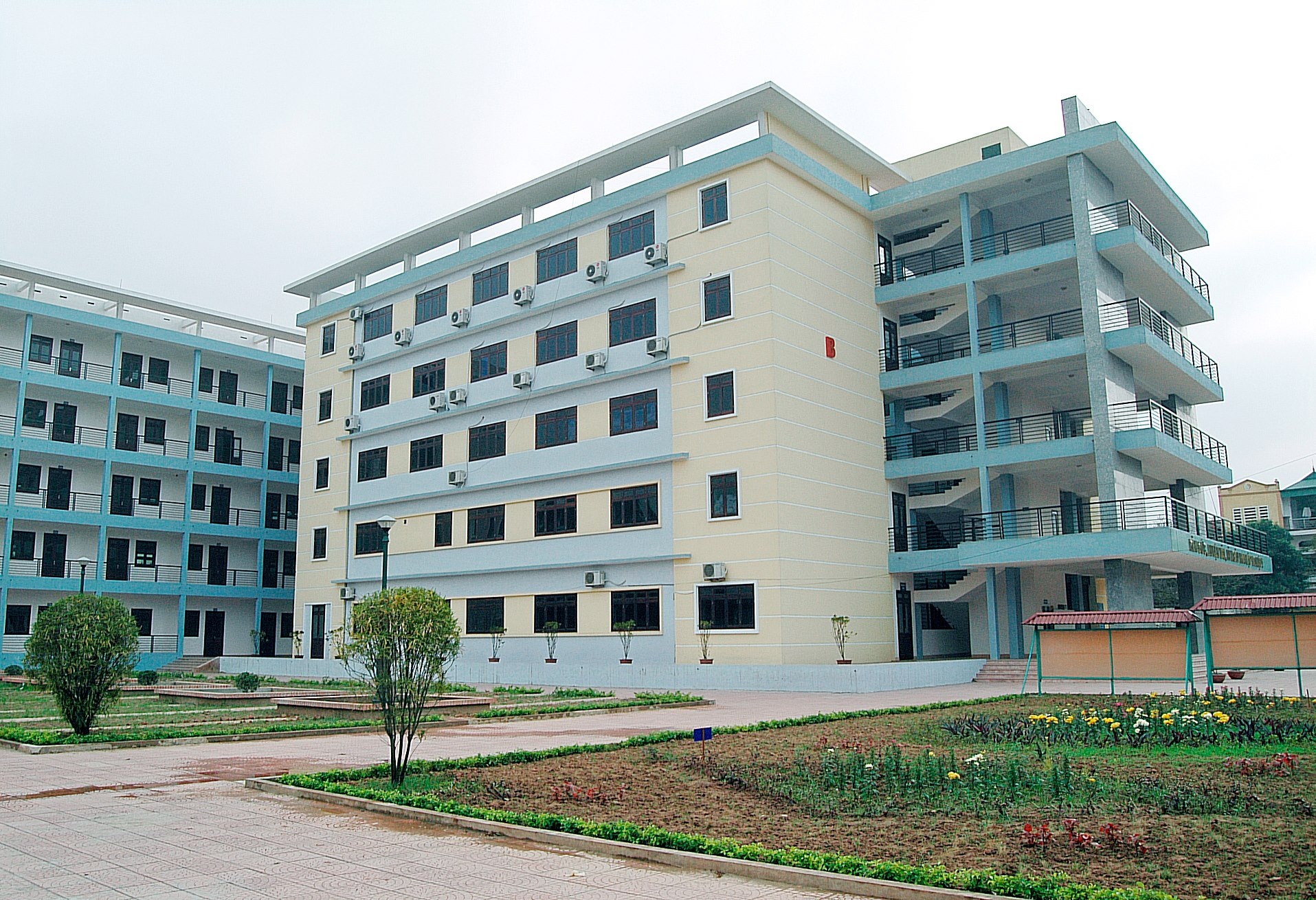 De xuat thanh lap Dai hoc Thong ke hinh anh