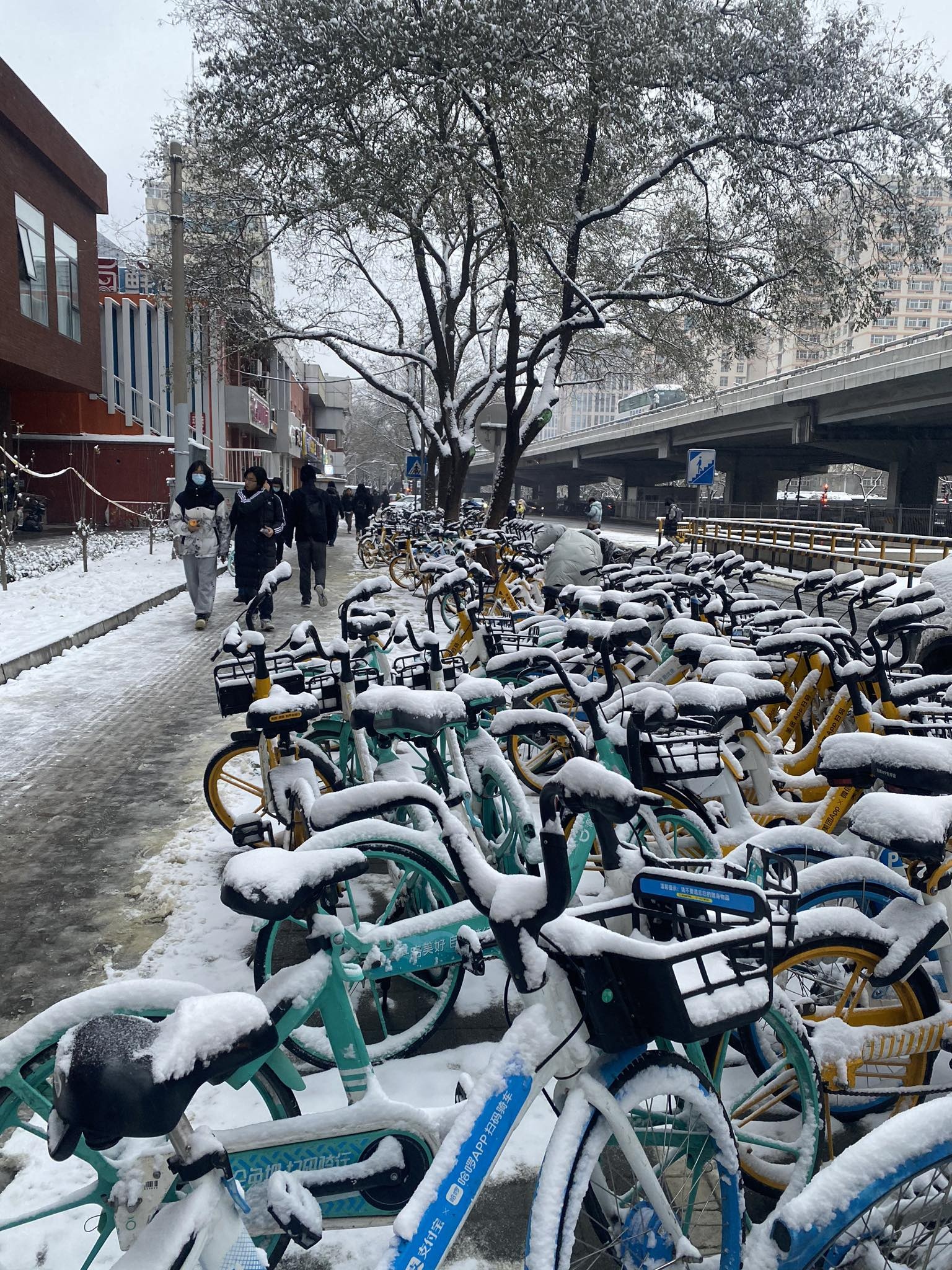 du học sinh Việt ảnh 2 du hoc sinh Viet anh 2