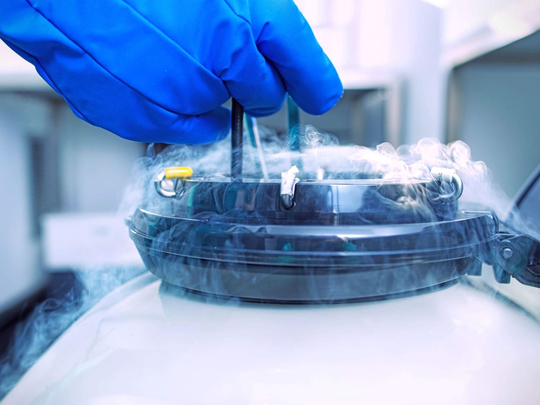 Nguoi phu nu 62 tuoi duoc phep lay tinh trung tu nguoi chong da mat hinh anh