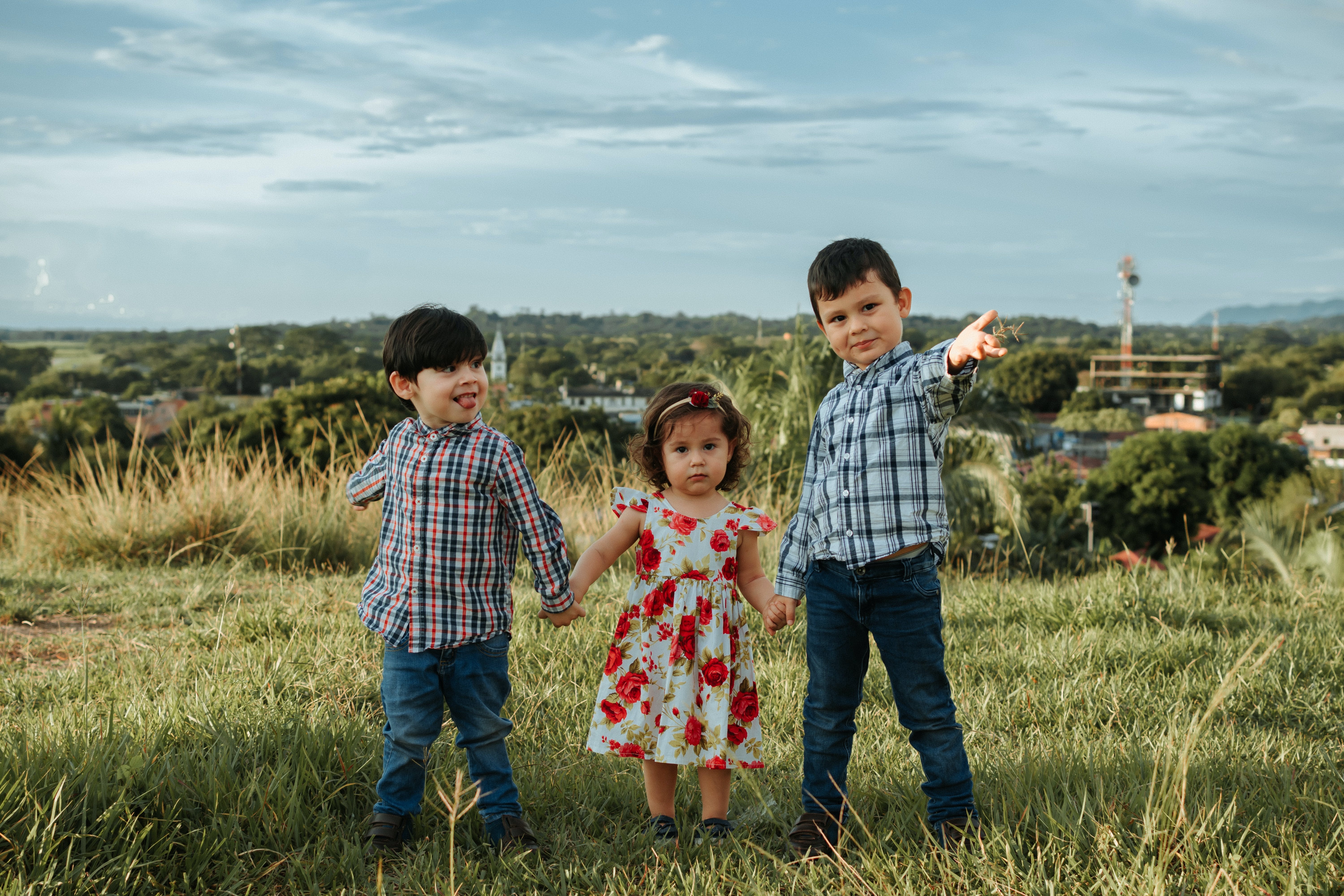 Ly do con ca thuong kiem duoc nhieu tien hon con thu hinh anh