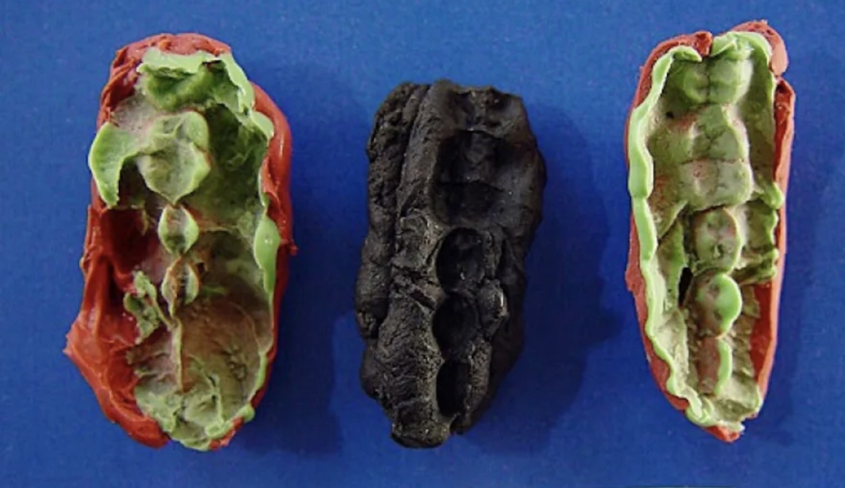 Bi an mau DNA trong 'keo cao su' thoi do da hinh anh