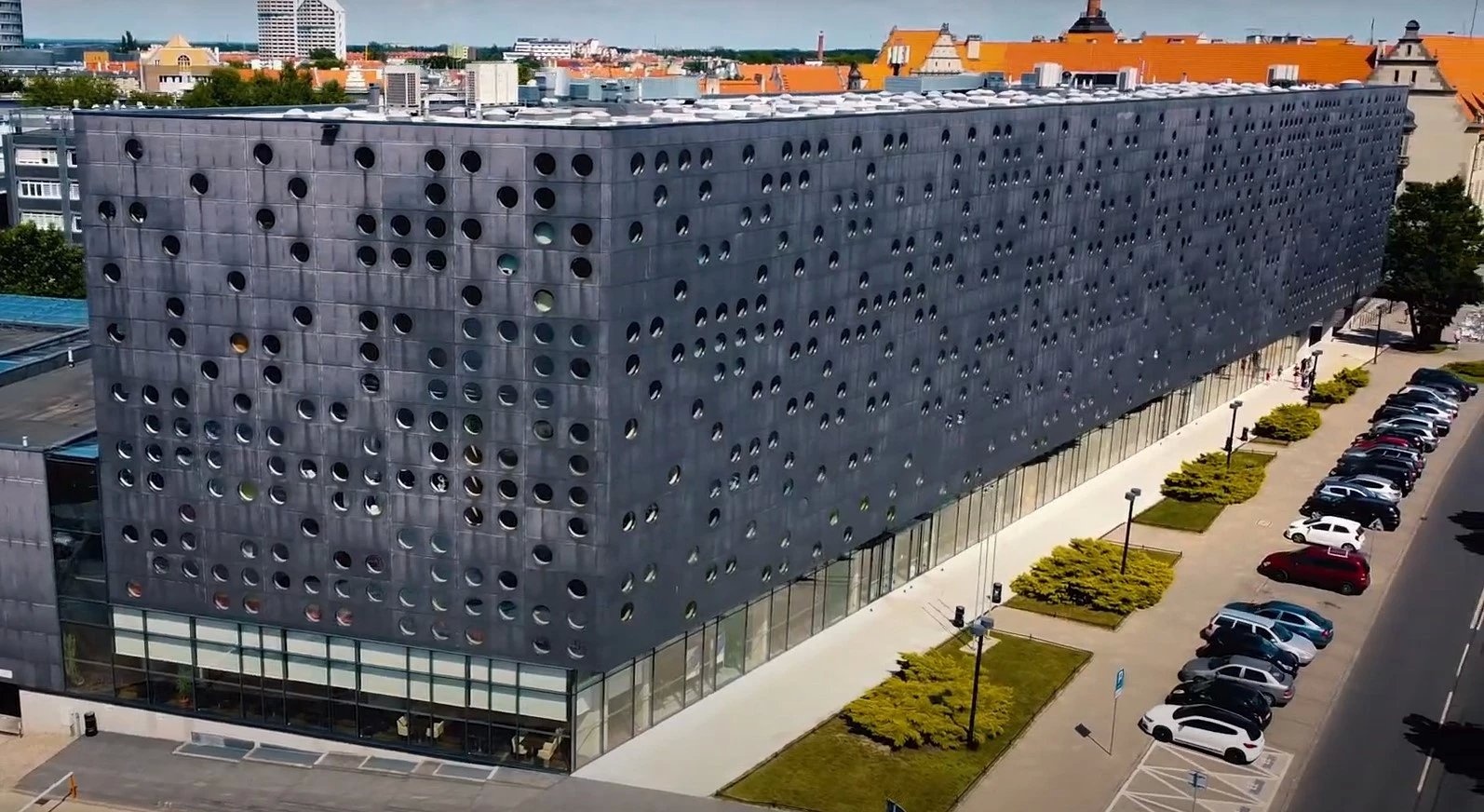 dai hoc doc dao anh 8