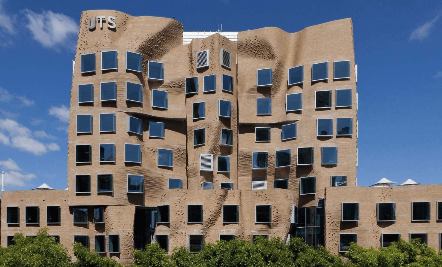 dai hoc doc dao anh 10