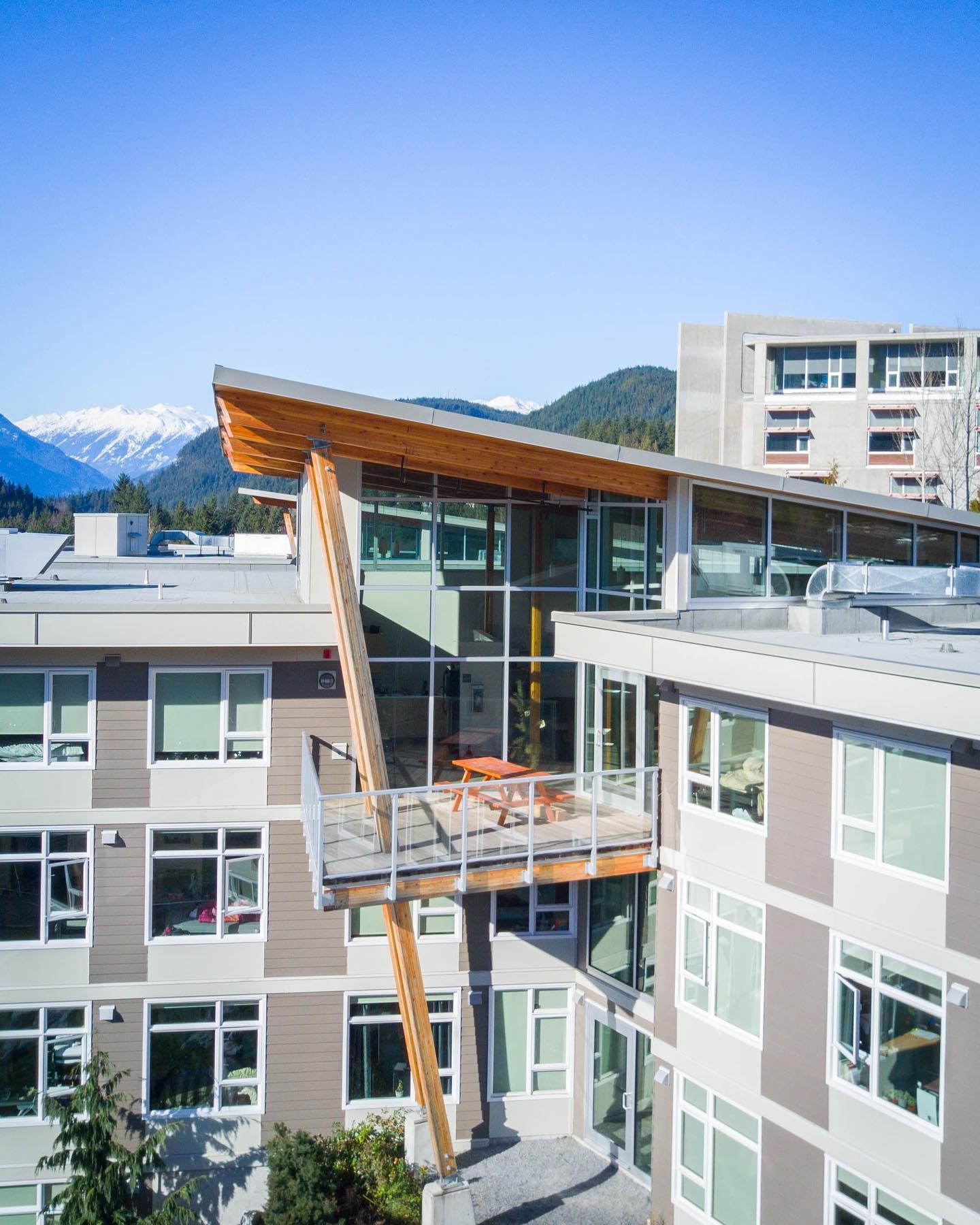 dai hoc doc dao anh 2