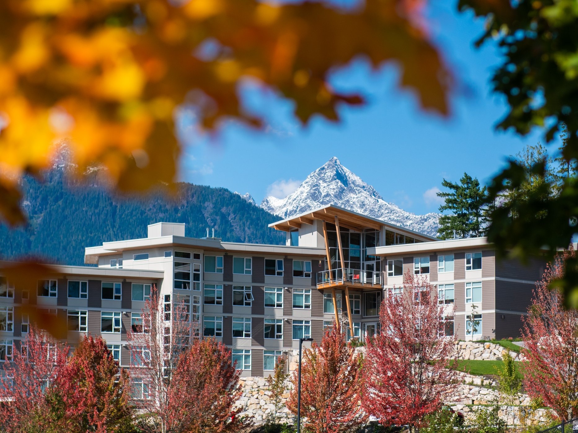 dai hoc doc dao anh 4