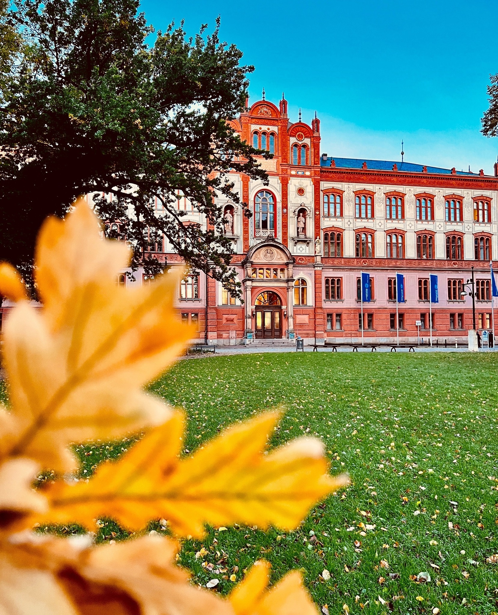 dai hoc dep nhat anh 4