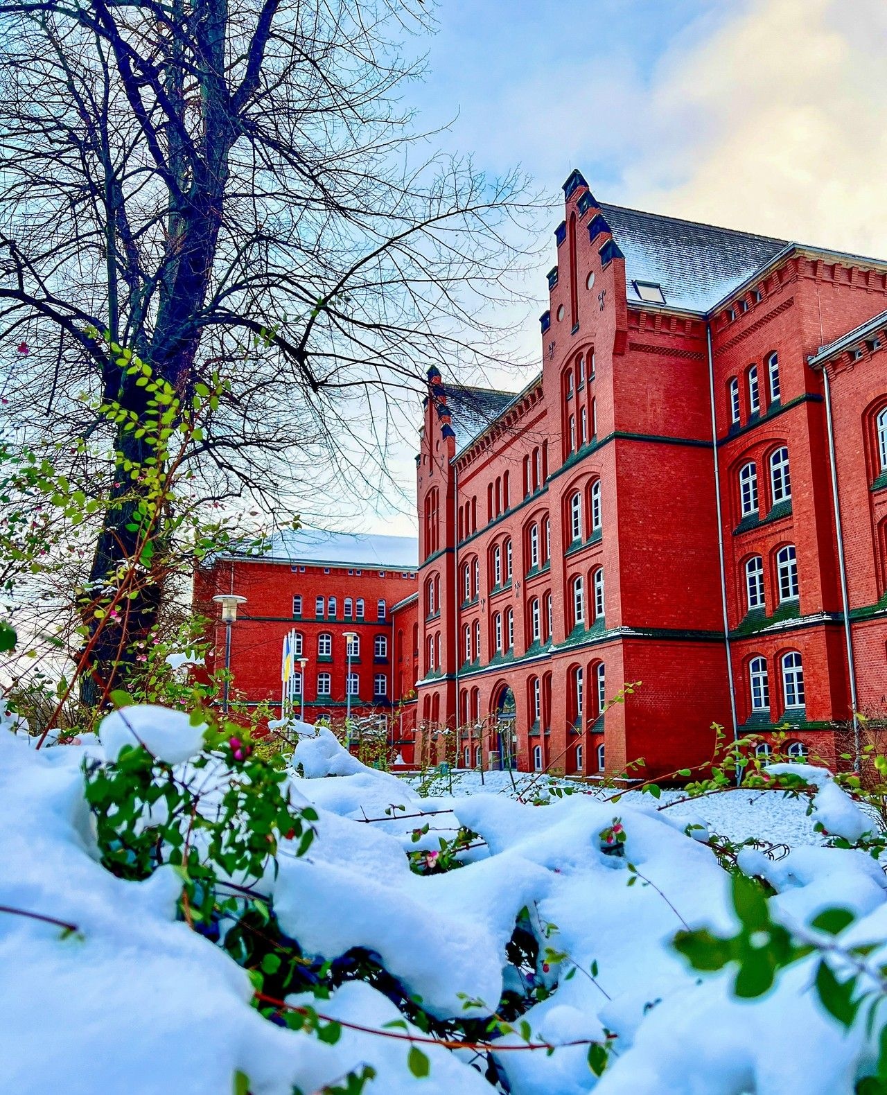 dai hoc dep nhat anh 5