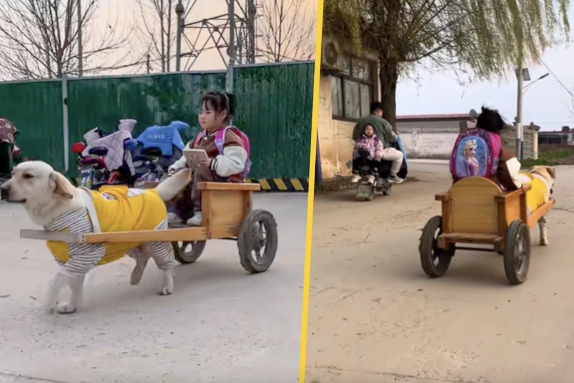 Cho 'tai xe' keo xe don be gai di hoc ve hinh anh