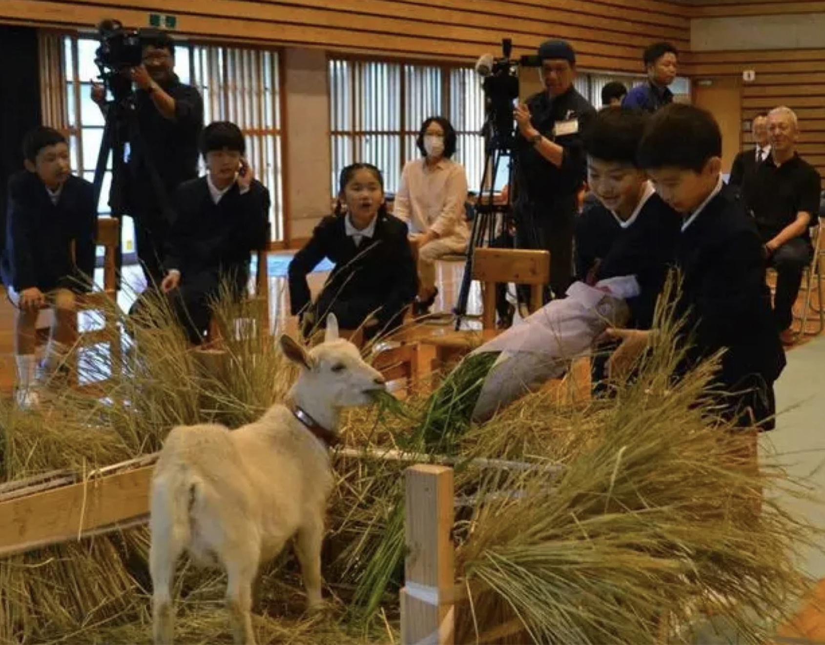 Truong tieu hoc Nhat Ban tuyen de con lam 'hoc sinh' hinh anh
