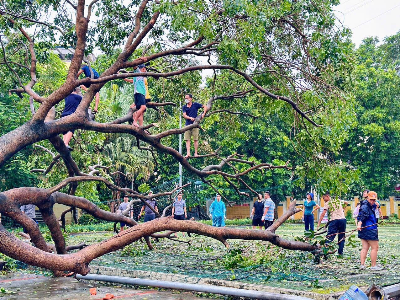 Hoc sinh 39 truong o Ha Noi chua the di hoc sau bao Yagi hinh anh