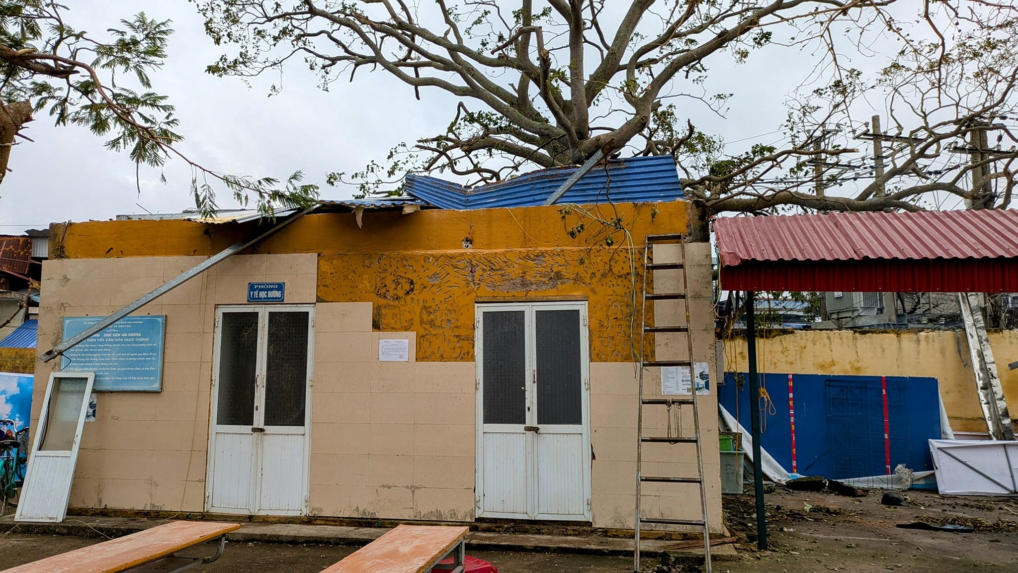 Bo sung sach giao khoa cho dia phuong anh huong mua bao hinh anh