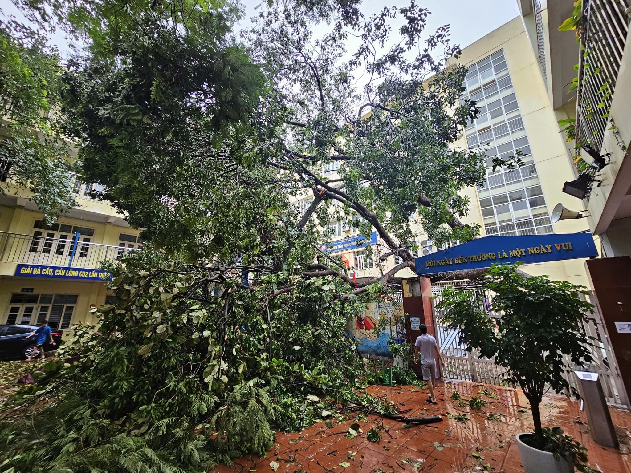 Bo truong GD&DT chi dao khac phuc sau bao so 3 hinh anh