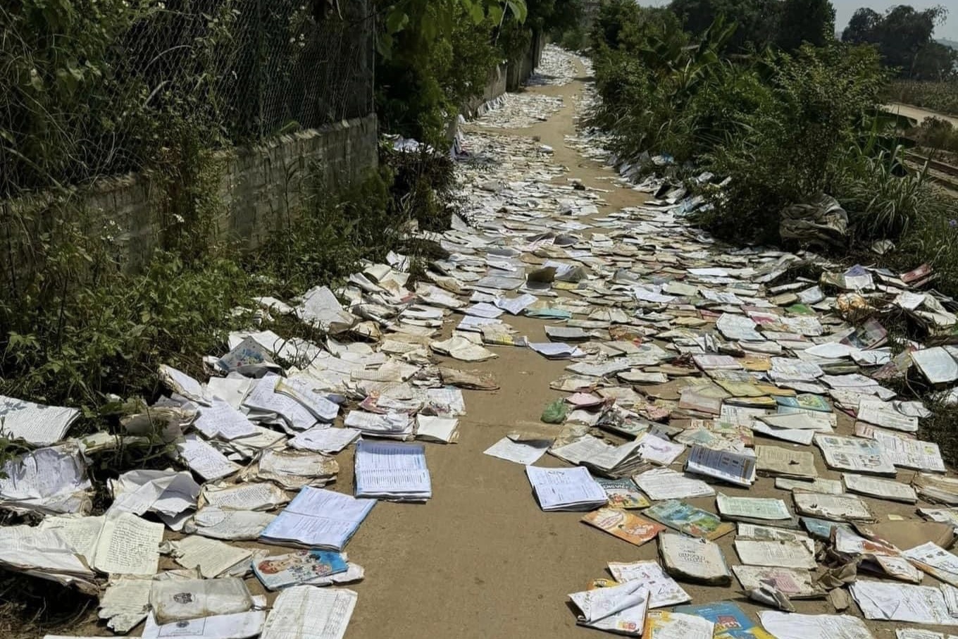 Su that thong tin 'giao vien phoi sach la liet o cong truong sau lu' hinh anh