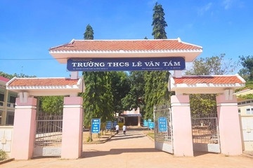 Hieu truong bo nhiem so nhieu ngay, hang loat giao vien bi cham luong hinh anh