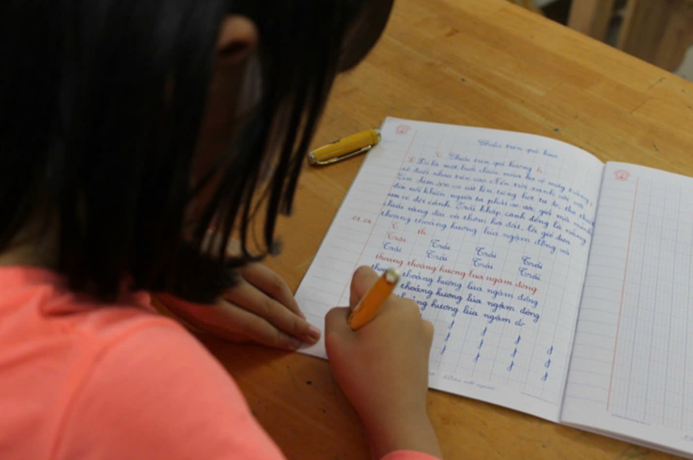 Chi chuc trieu dong ep con hoc them luyen chu dep, co can thiet? hinh anh