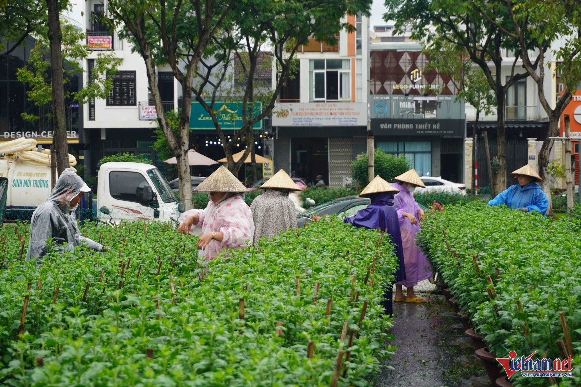 sinh vien lam them Tet anh 1