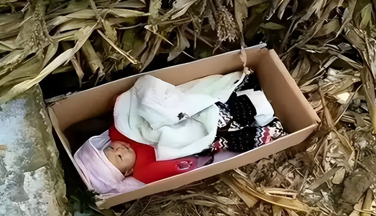 Duoc nguoi nhat rac nuoi, nam sinh do dai hoc, tu choi tien bu dap hinh anh