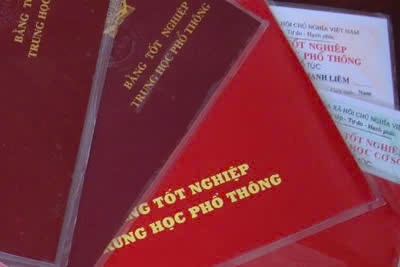 Dung bang gia, pho bi thu Dang uy xa bi cach chuc tat ca chuc vu Dang hinh anh