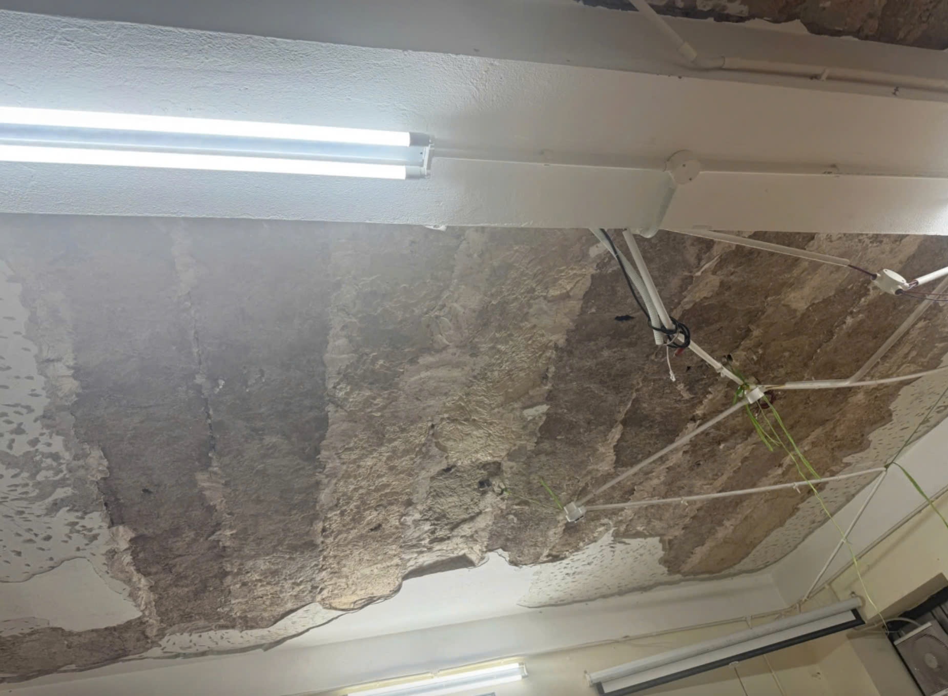 Tran phong hoc o Ha Noi sap vua, nha truong len tieng hinh anh