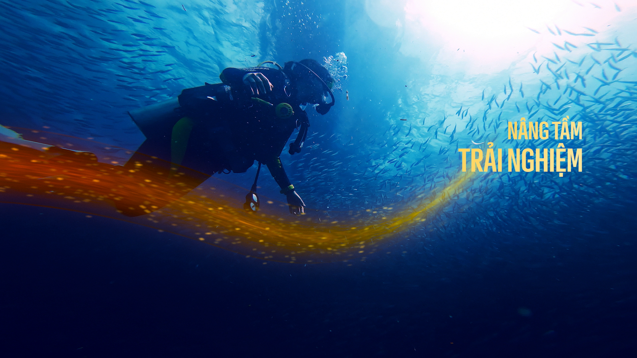 Vietravel gioi thieu logo moi sau 30 nam hinh anh