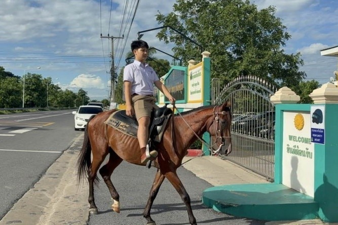 Nam sinh Thai Lan cuoi ngua di hoc moi ngay de tiet kiem xang hinh anh