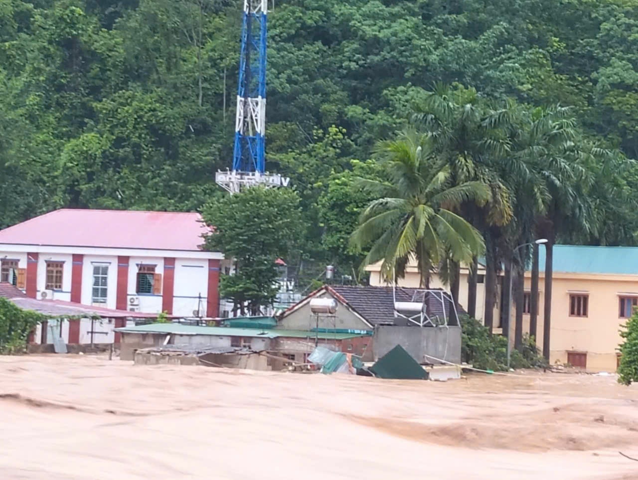 lu lut Nghe An anh 2