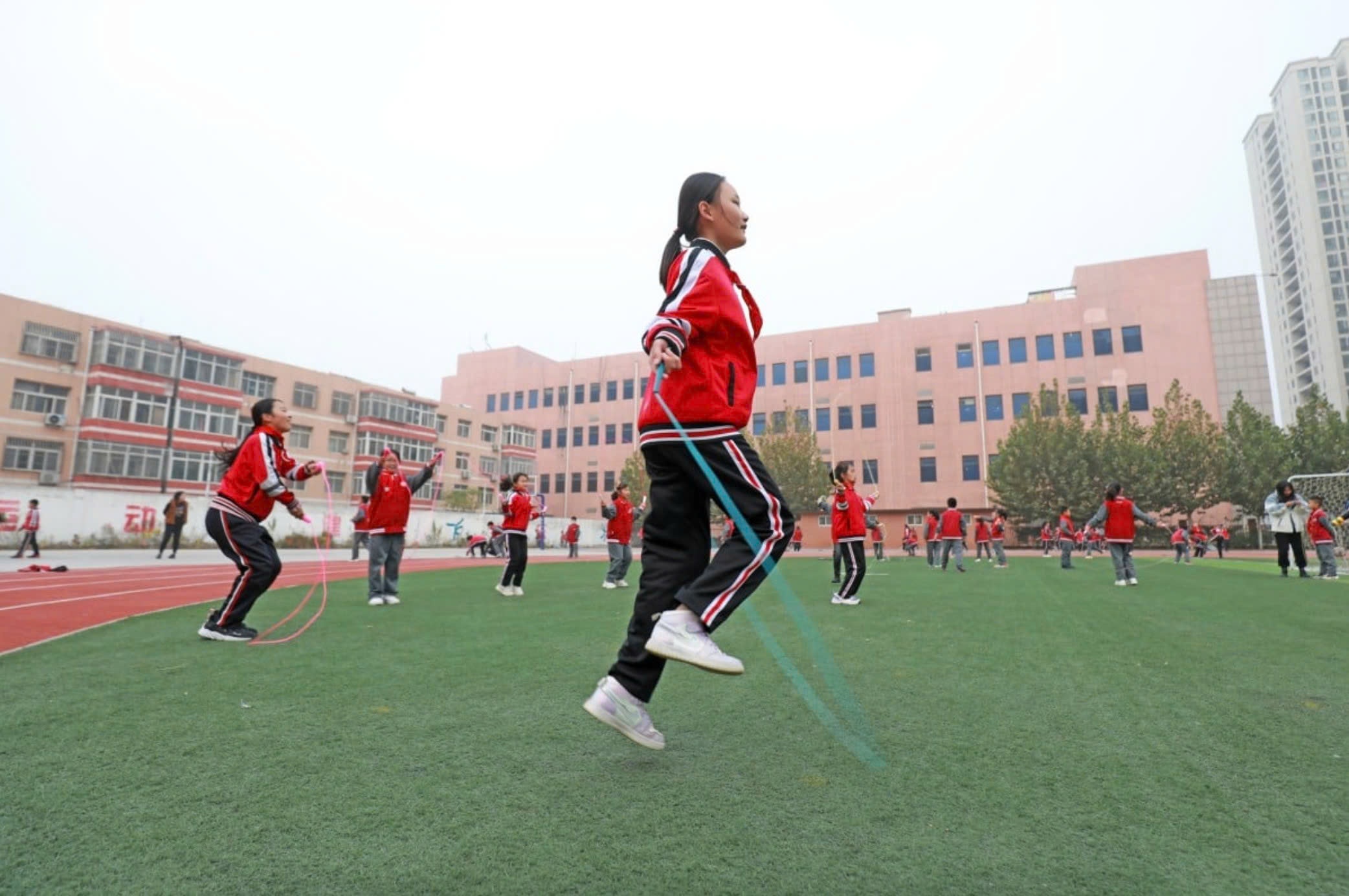 Con so gay bat ngo o Trung Quoc hinh anh