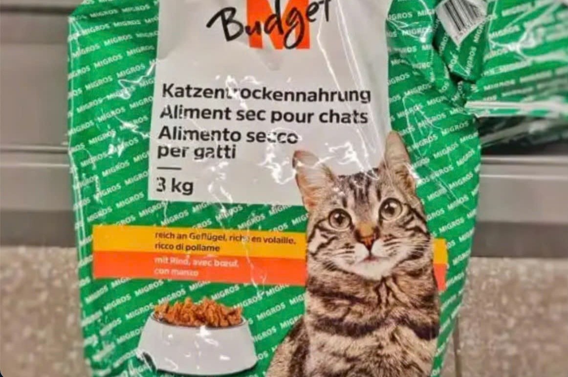 An thuc an cho meo de tiet kiem tien hoc tien si hinh anh