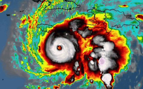 Nhung con bao nhiet doi tu dau den? hinh anh