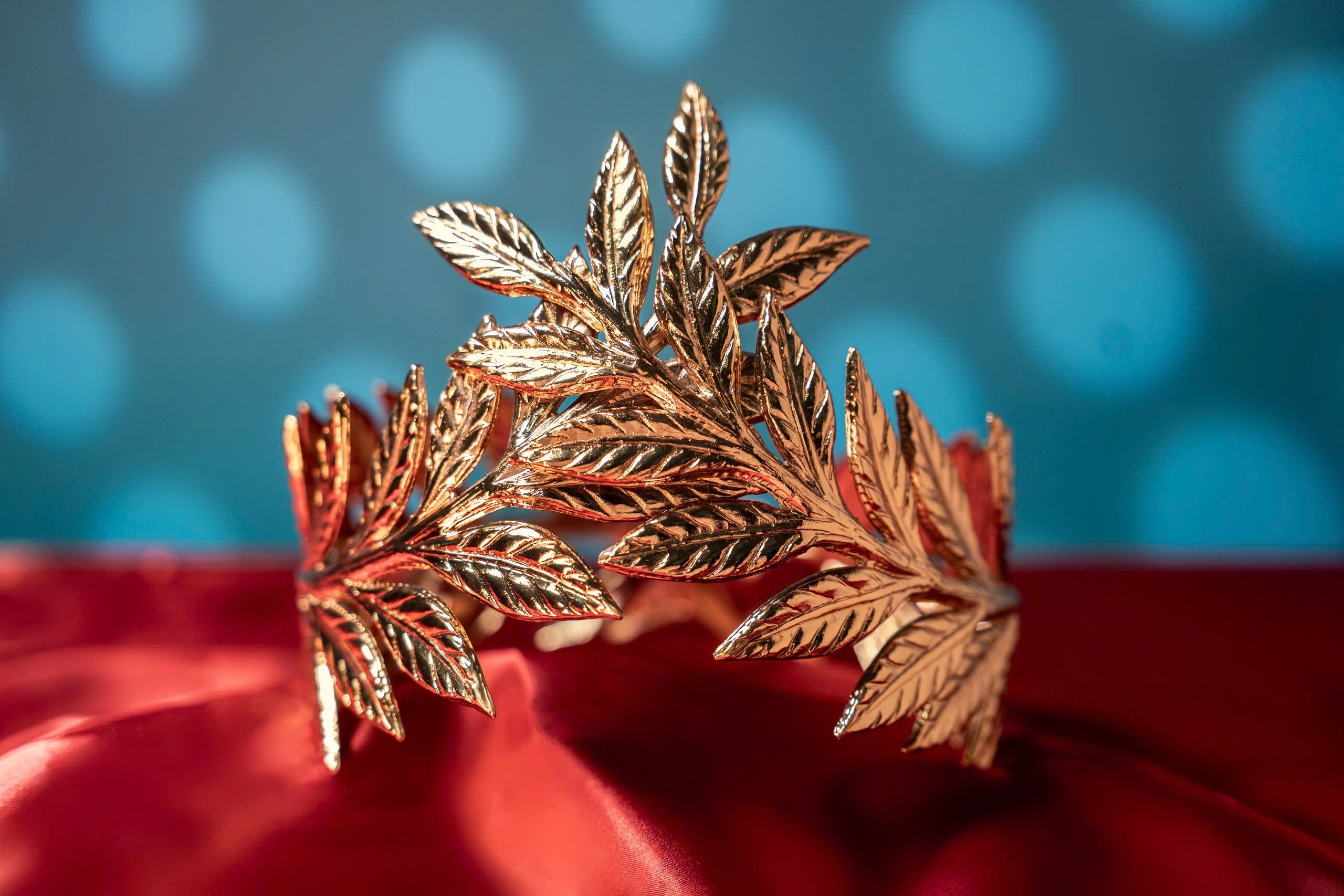 Can canh vong nguyet que chung ket Olympia 2025 hinh anh