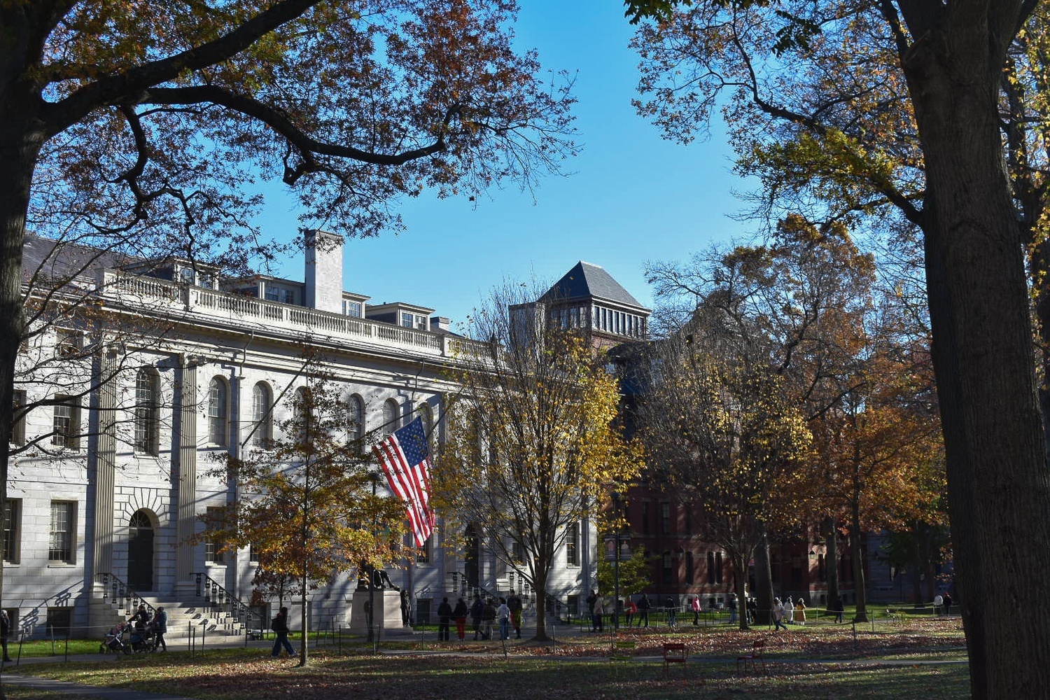 Harvard tiep tuc chao dao hinh anh