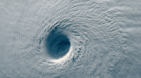 Con bao nhiet doi manh nhat hanh tinh hinh anh