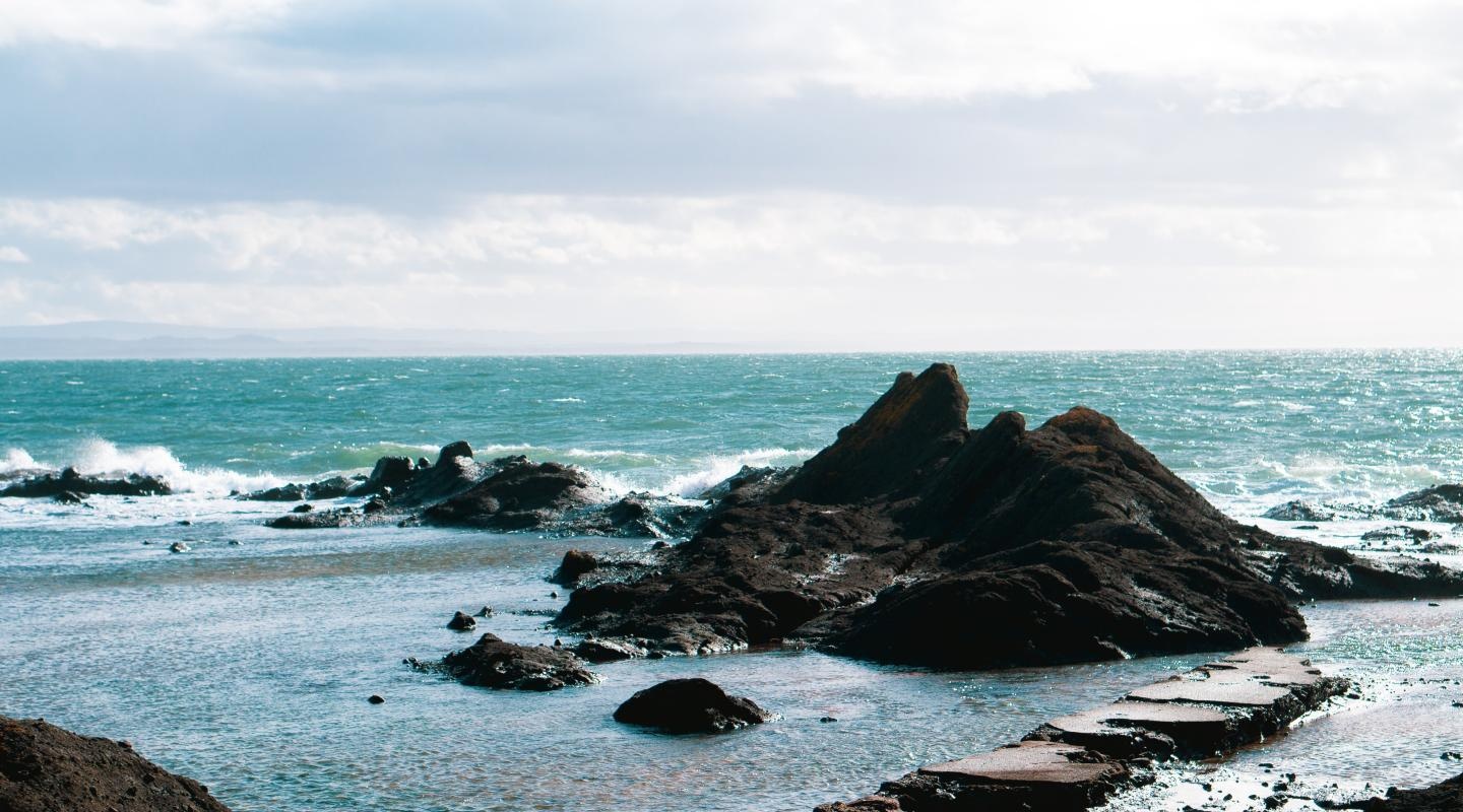 thu vi ve bien anh 1