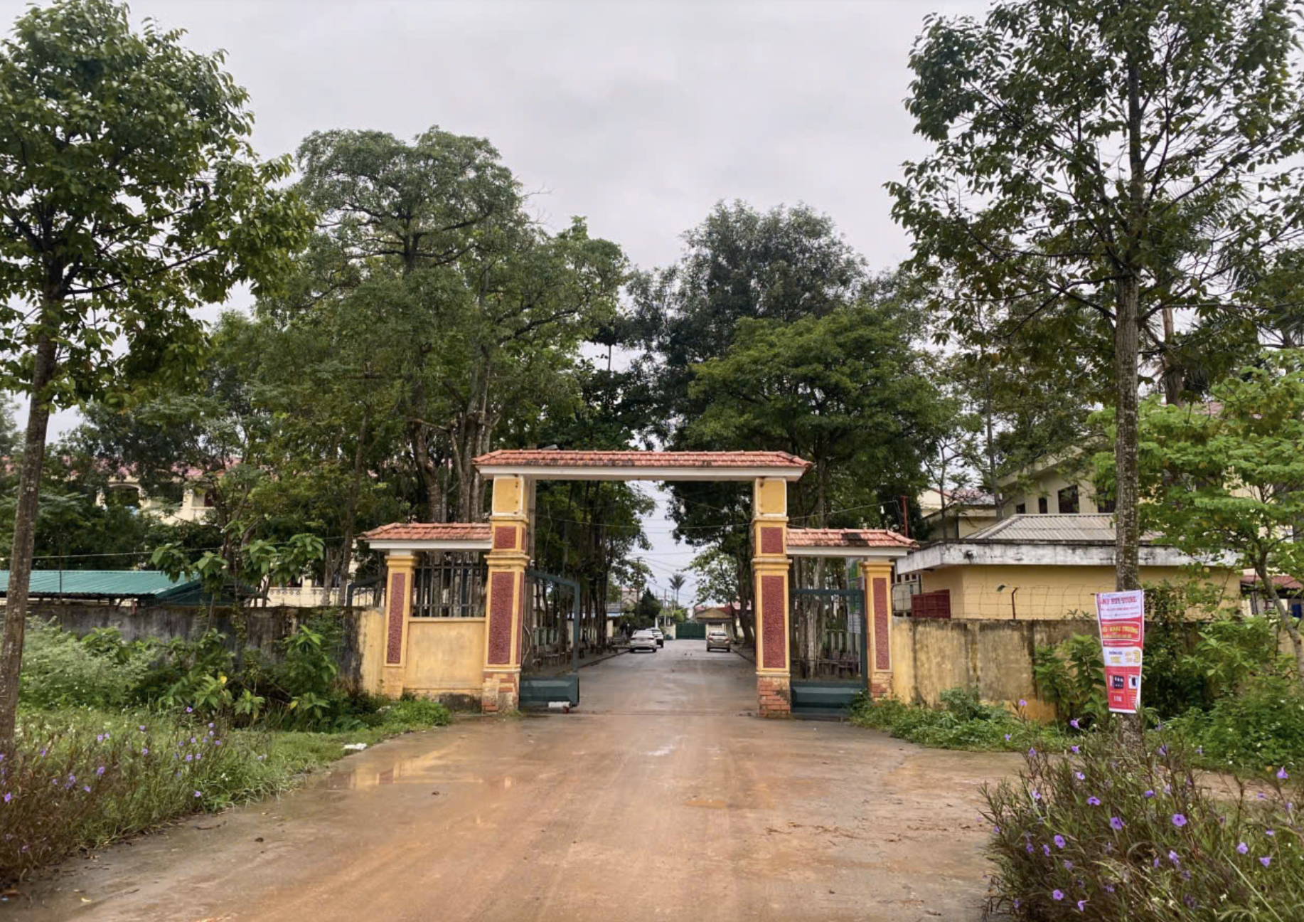 bao luc hoc duong anh 1