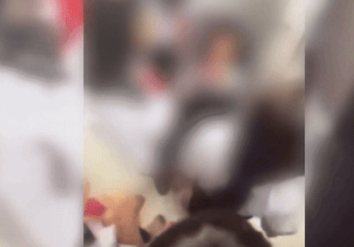 Đại biểu Quốc hội nêu 5 biện pháp 'nóng' xử lý bạo lực học đường