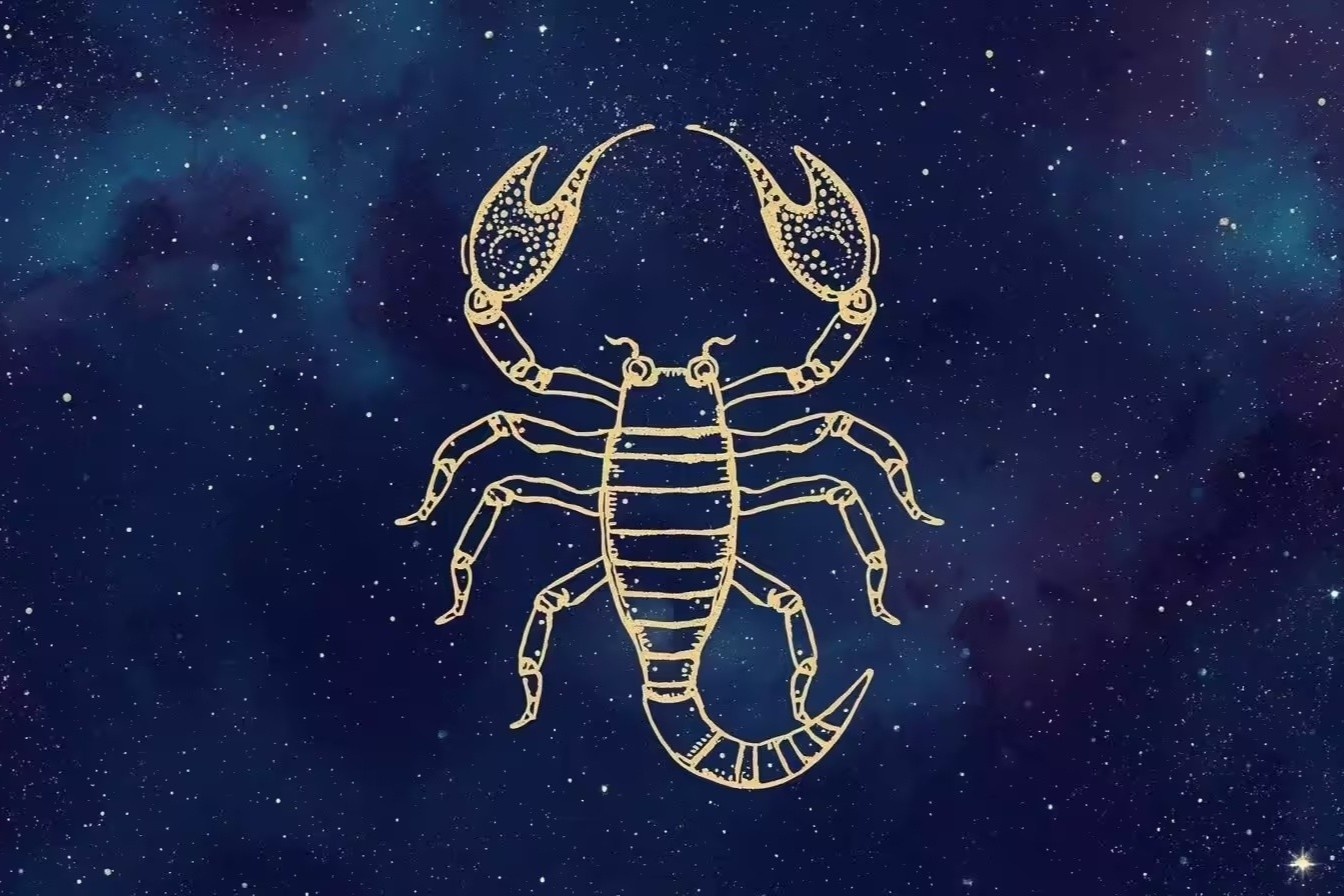 cung hoang dao anh 5