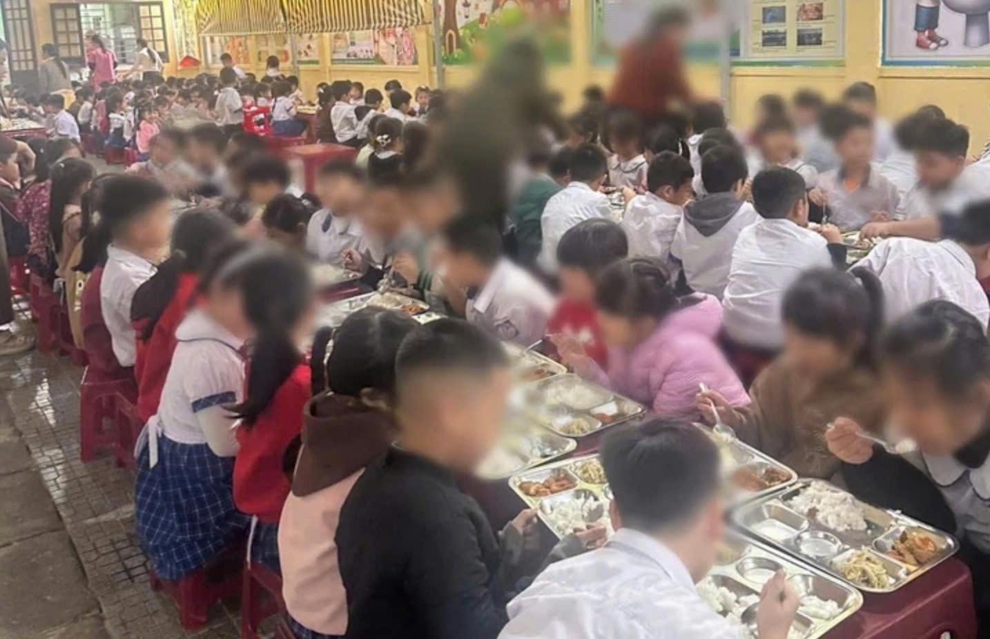 Tin moi nhat vu hoc sinh tieu hoc o Hue non oi khi an trua ban tru hinh anh