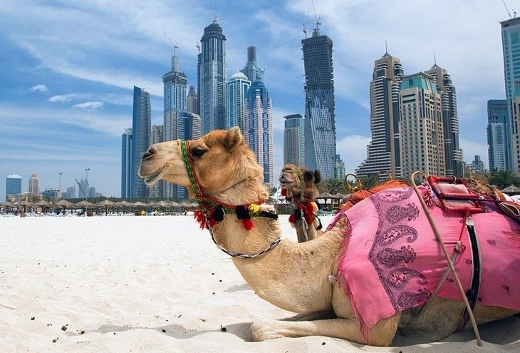 U23 Viet Nam gap UAE o tu ket: Dieu thu vi ve dat nuoc nay hinh anh