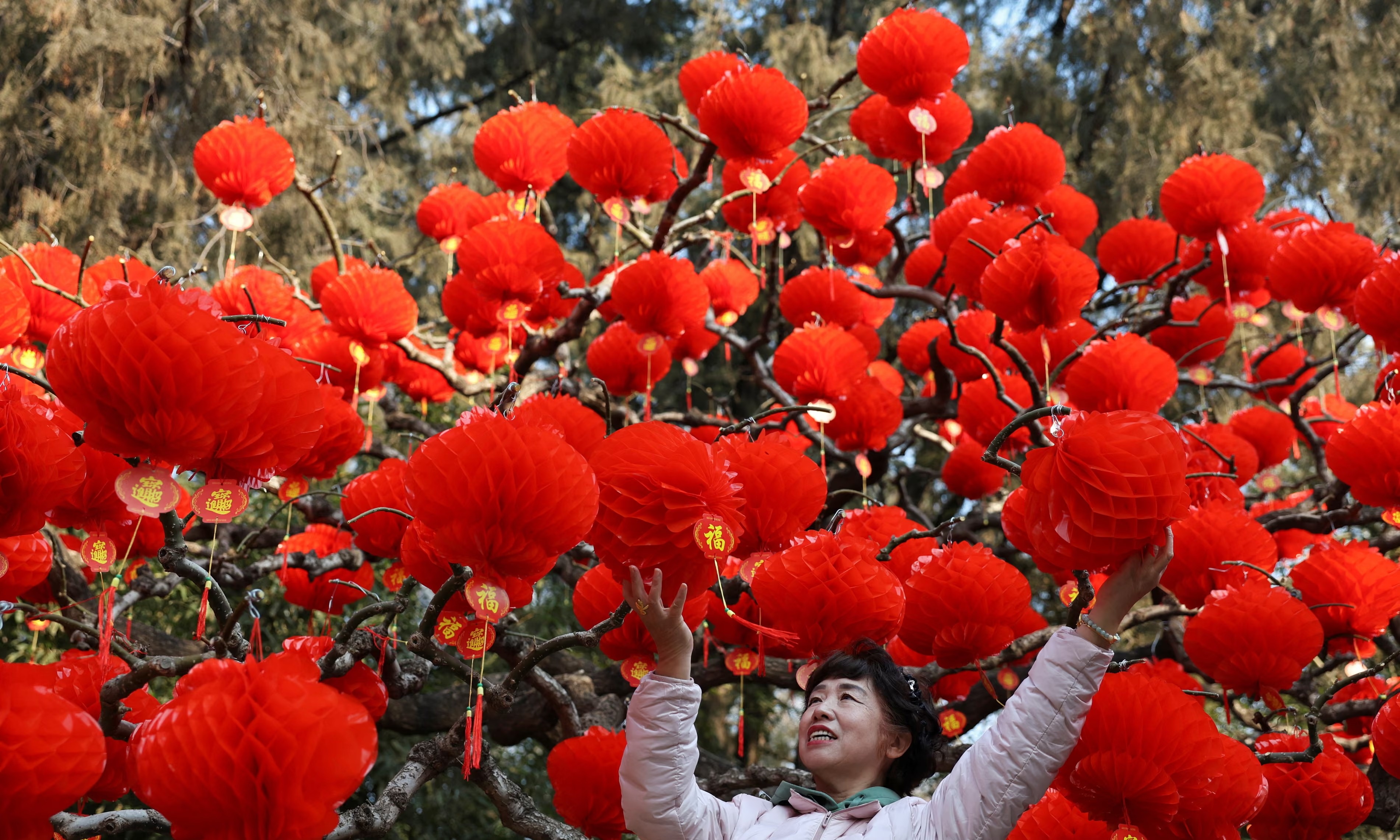Tet Nguyen dan anh 3