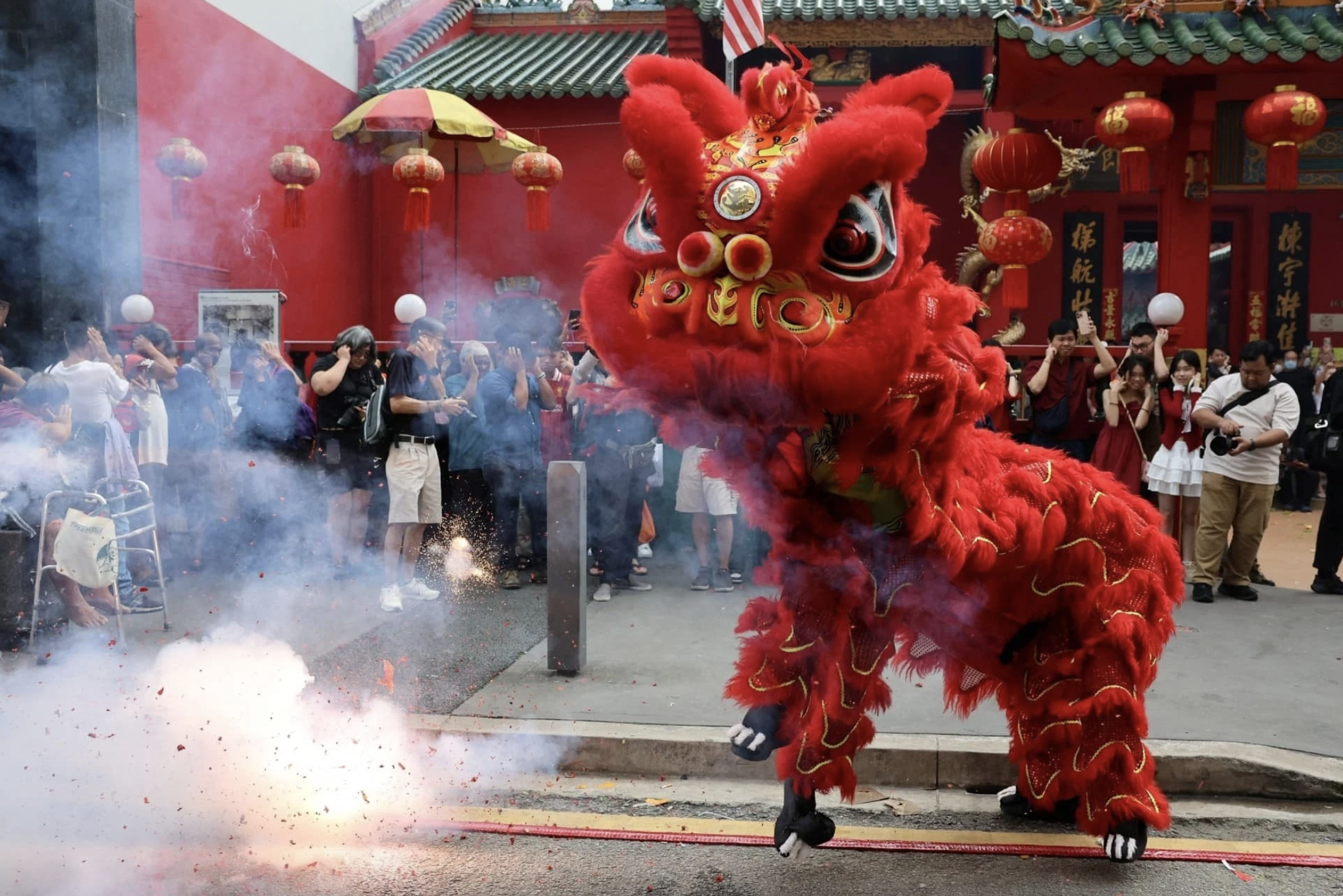 Tet Nguyen dan anh 9