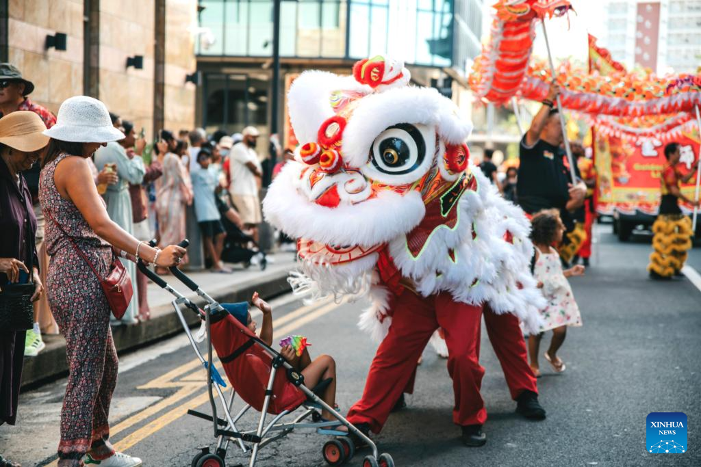 Tet Nguyen dan anh 1