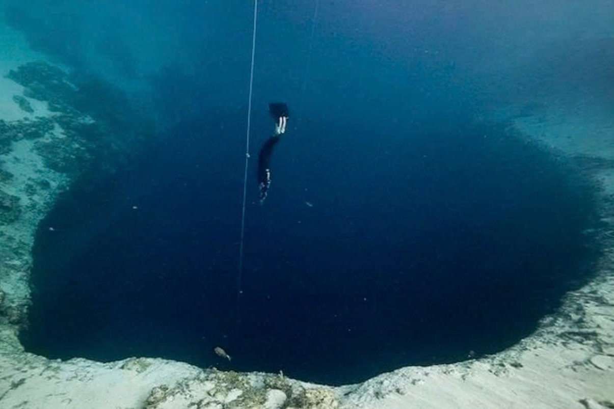 Phat hien hon 1.700 virus co dai duoi day Bien Dong hinh anh