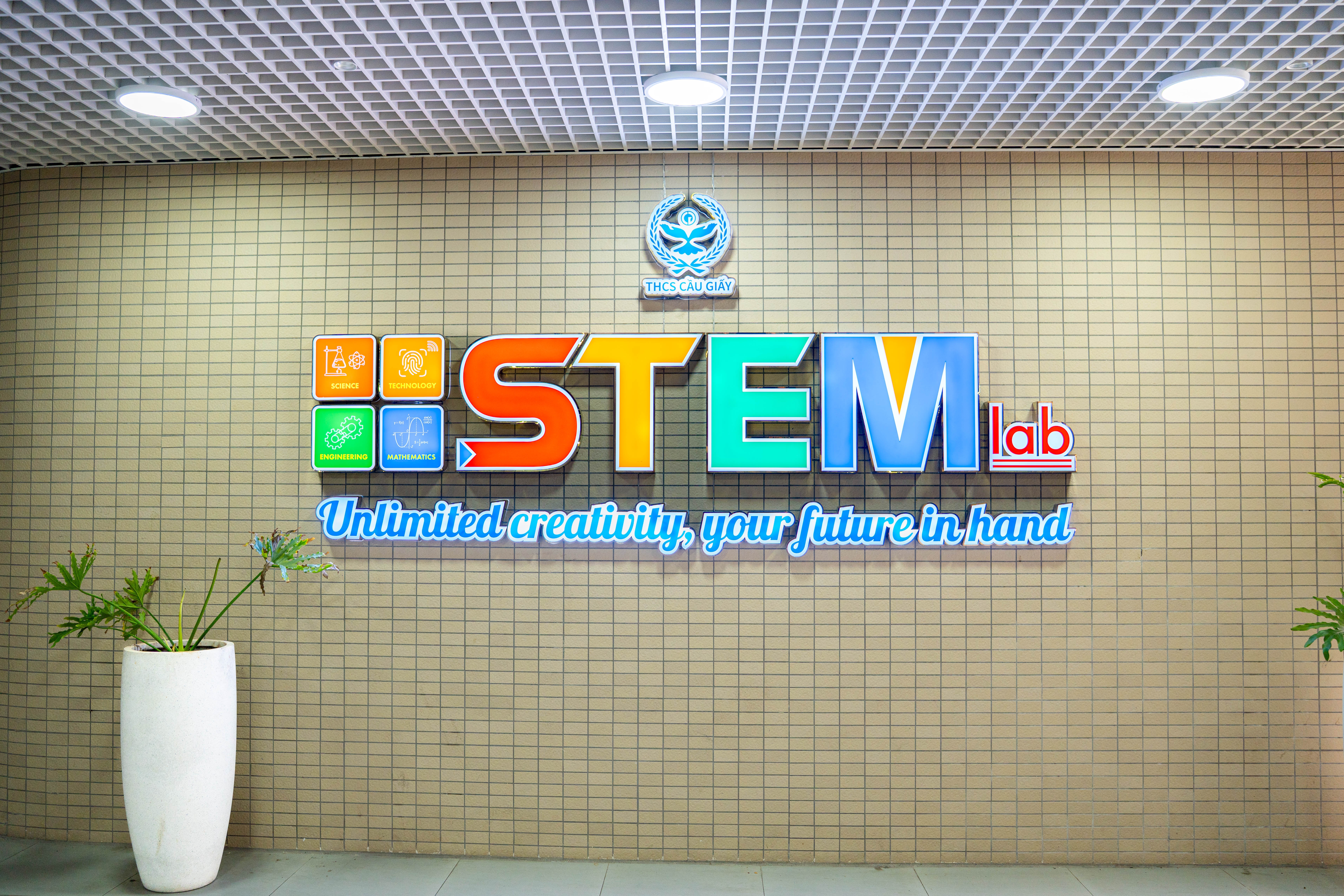 STEM anh 17