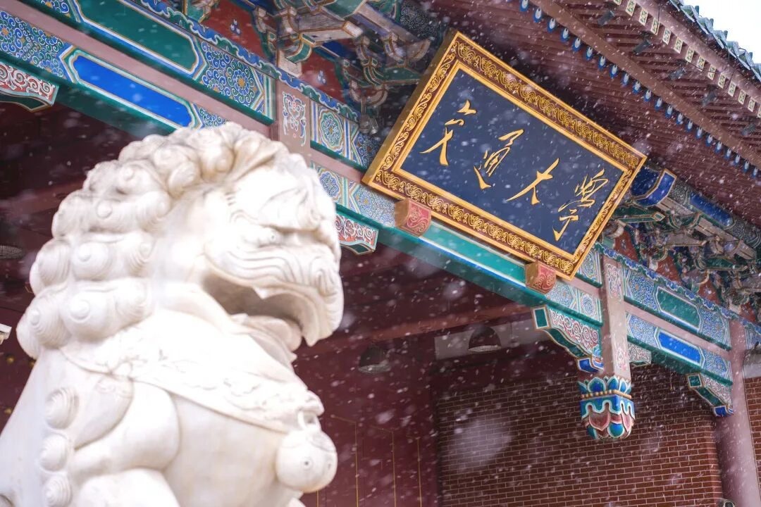 Truong dai hoc top dau Trung Quoc xin loi hinh anh