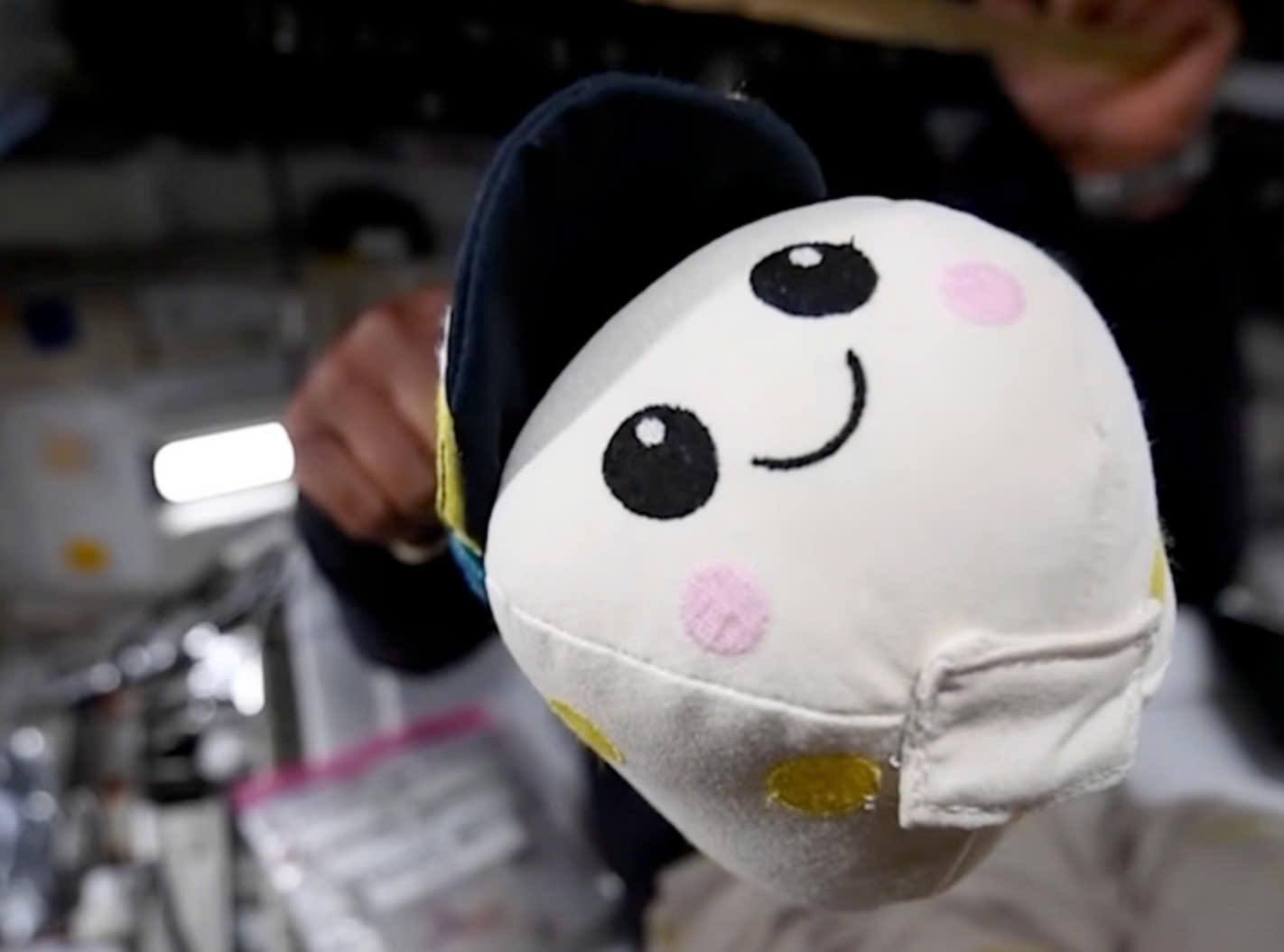 Cau be 8 tuoi tao gau bong chi bao khong trong luc tren tau Artemis II hinh anh