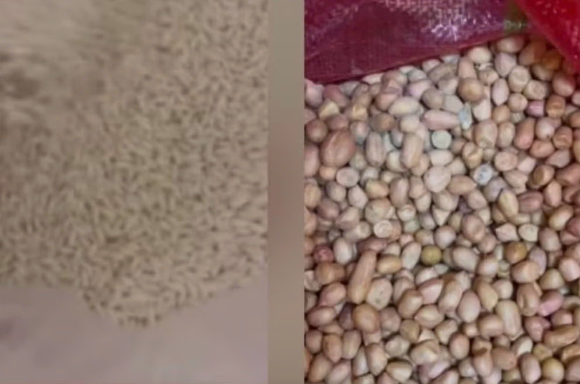 Hieu truong bi dinh chi vi xuat hien nhieu tui lac moc trong bep an hinh anh