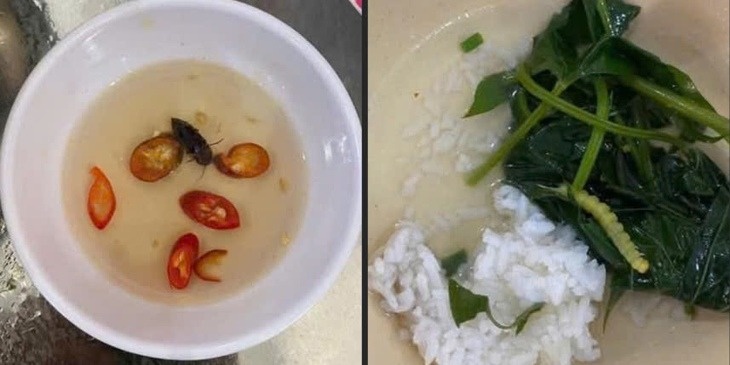 sinh vien anh 1
