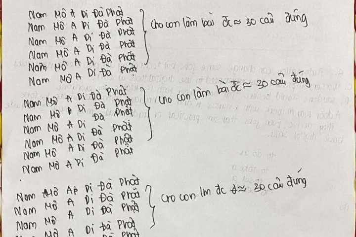 To giay nhap 'cau diem cao' gay chu y cua si tu thi vao lop 10 hinh anh