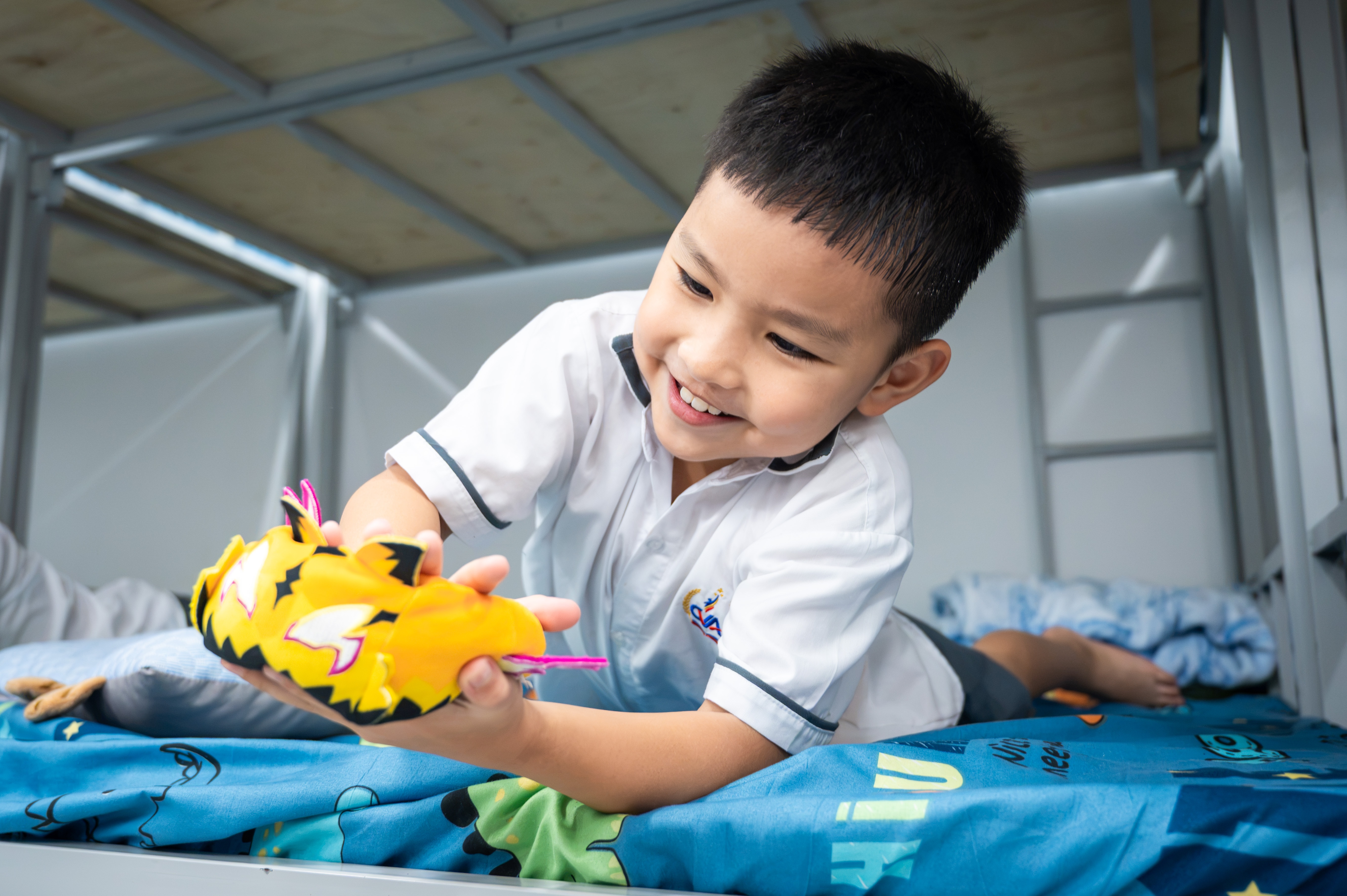 bán trú ảnh 19 bán trú ảnh 19